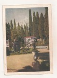 FA151 - Carte Postala - UCRAINA - Miskhor, a corner of the park with cypresses, circulata 1961