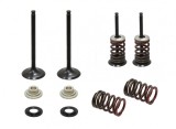 Set supape otel admisie Suzuki RMZ 450 05- 06 XU-09536IK