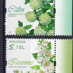 MOLDOVA 2019, Flora, serie neuzata, MNH