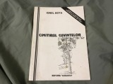 Cimitirul cuvintelor de Ionel Bota anul 1997 cu autograf si dedicatie