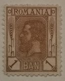 Rom&acirc;nia Lp 53 Spic de gr&acirc;u stema mare 1 ban nestampilat