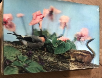 CPA. Carti Postale Tematice 3D cu imagine in miscare foto