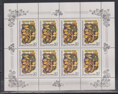 RUSIA (U.R.S.S.) 1986 CIUPERCI MI 5603-5607 KLEINBOGEN MNH ,4 SCAN foto
