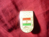 Insigna Olimpica IRAN - Comitetul National Olimpic Islamic , h=2,5cm ,metal