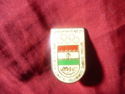 Insigna Olimpica IRAN - Comitetul National Olimpic Islamic , h=2,5cm ,metal foto