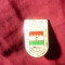 Insigna Olimpica IRAN - Comitetul National Olimpic Islamic , h=2,5cm ,metal