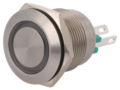 Comutator Anti-Vandalism IP66 24VDC foto
