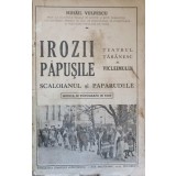 IROZII PAPUSILE. TEATRUL TARANESC AL VICLEIMULUI. SCALOIANUL SI PAPARUDELE. MUZICA SI FOTOGRAFII IN TEXT-MI-237286