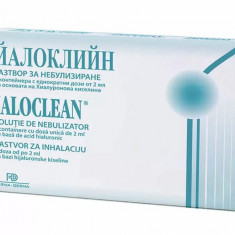 Ialoclean Solutie Nebulizator 5 fiole x 2 mililitri NaturPharma