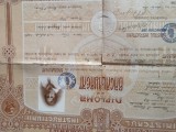 DIPLOMA DE STUDII ROMANIA REGALA . Diploma de bacalaureat .