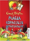 Magia copacului departarilor | Enid Blyton, Arthur