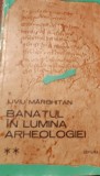 BANATUL IN LUMINA ARHEOLOGIEI