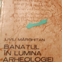 BANATUL IN LUMINA ARHEOLOGIEI