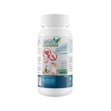 PUDRA ANTIPARAZITARA PURICI, CAPUSE, TANTARI, CU GERANIOL MAX BIOCIDE 100 G