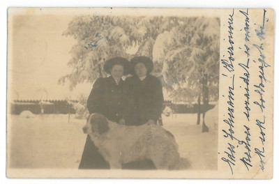 3638 - RACIU, Mures, Women and dog, Romania - old postcard - used - 1907 foto