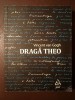 Vincent van Gogh - Dragă Theo. Scrisori către fratele său (ed. Constanța Tănăsescu)