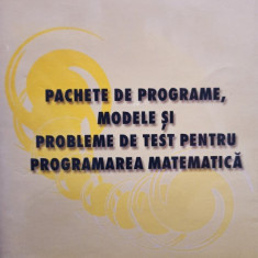 Neculai Andrei - Pachete de programe, modele si probleme de test pentru programarea matematica (2001)