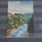 AUSTRIA - VEDERE DIN MUNTII DIN SUD TIROL - ANII 1900 - 1910 - EDITURA JOH.F.ARNONN BOZEN - NECIRCULATA -