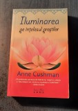 Iluminarea pe intelesul prostilor Anne Cushman