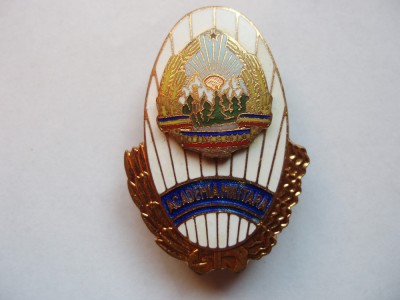 ROMANIA - INSIGNA ACADEMIA MILITARA , RSR , 1980 , IM 1.147 foto