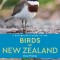 A Naturalist&#039;s Guide to the Birds of New Zealand