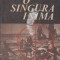 O singura inima