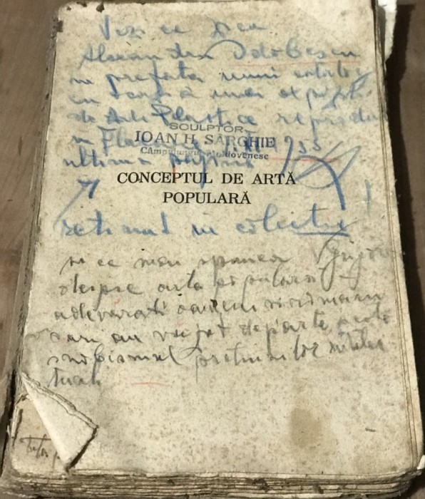 DVP2 Concepte de Arta Populara