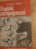 Treptele antropogenezei- Lucian Rosu