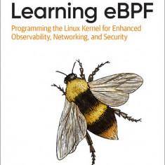 Learning Ebpf: Programming the Linux Kernel for Enhanced Observability, Networking, and Security