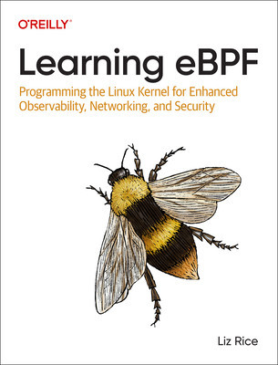 Learning Ebpf: Programming the Linux Kernel for Enhanced Observability, Networking, and Security foto