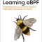 Learning Ebpf: Programming the Linux Kernel for Enhanced Observability, Networking, and Security