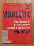 Visual basic Introducere in programarea vizuala a aplicatiilor Curelet-Balan