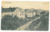 247 - SIBIU, Romania - old postcard - used - 1923