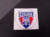 Autocolant Steaua