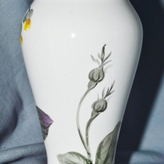 vaza rara Vase Franz Anton Mehlem ceramica an 1900/20