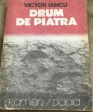 DVP12 0442 Istorie - Victor Iancu - Drumul de piatra