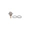 Termostat lichid racire MERCEDES-BENZ SPRINTER 3-t bus 906 BEHR TX10690D