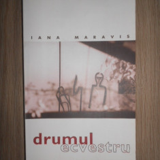 Iana Maravis - Drumul ecvestru (2001, grafica si fotografii de Nicu Ilfoveanu)