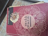 Modele croșetate vintage