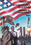 Florin Ionescu - American english. Dictionar de americanisme