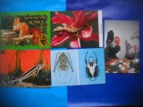 HOPCT LOT NR 1030 -FAUNA -5 CARTI POSTALE-NECIRCULATE