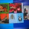HOPCT LOT NR 1030 -FAUNA -5 CARTI POSTALE-NECIRCULATE