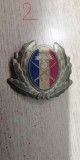 QW14 - Emblema militara / cuc - uscat - anii 1990 - piesa de colectie