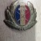 QW14 - Emblema militara / cuc - uscat - anii 1990 - piesa de colectie