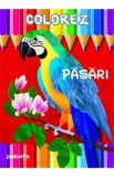 Cumpara ieftin Colorez: Pasari
