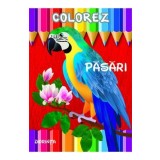 Colorez: Pasari