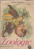 Zoologie. Manual pentru clasa a VI-a - Constantin Bogoescu