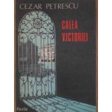 CALEA VICTORIEI-CEZAR PETRESCU-222346