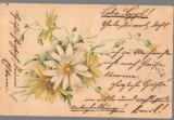 CPIB 23946 - CARTE POSTALA - FELICITARE - FLORI, GERMANIA, CIRCULATA, 1900, STAMPILE, TIMBRU