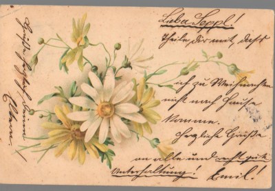CPIB 23946 - CARTE POSTALA - FELICITARE - FLORI, GERMANIA, CIRCULATA, 1900, STAMPILE, TIMBRU foto